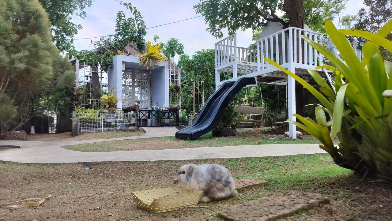 Homestay With Bunny Rabbit Chiang Rai Exterior photo